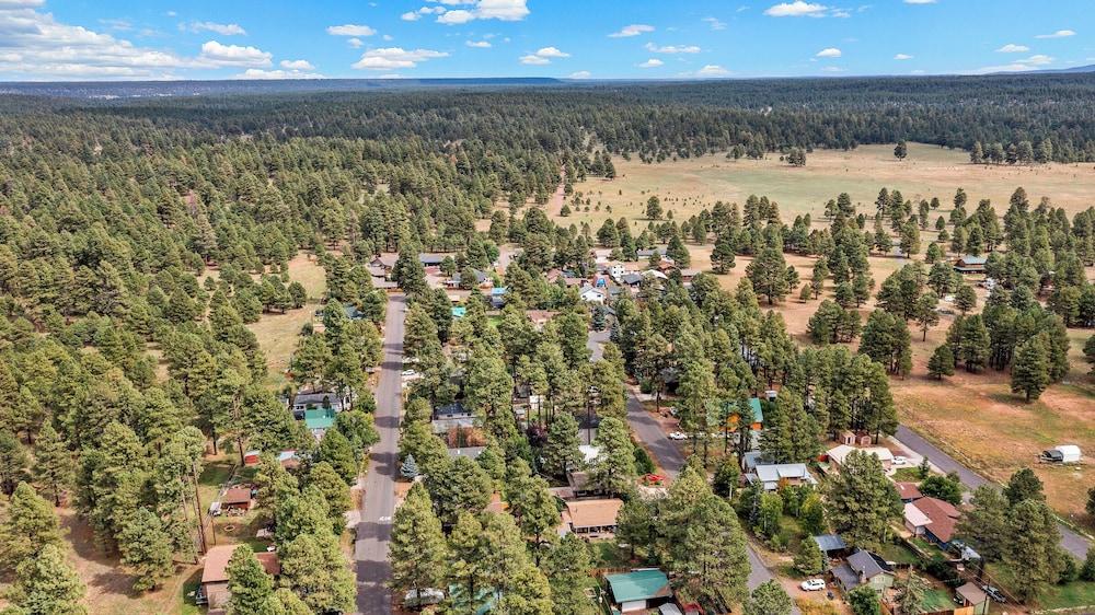Kiowa Cabin Hideaway 6-guest Mins to Dwtn Trails