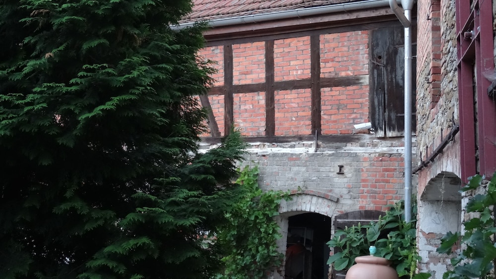 Photo 44