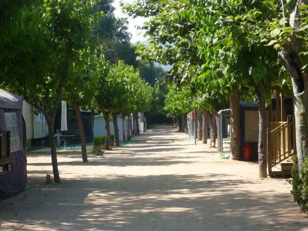 Camping El Camell