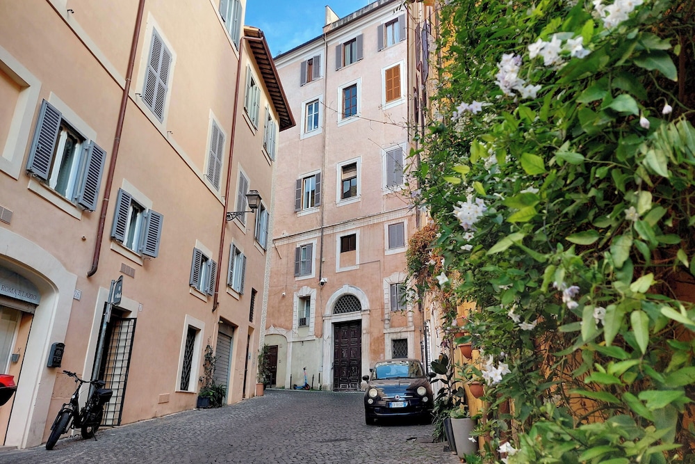 Monti Studio