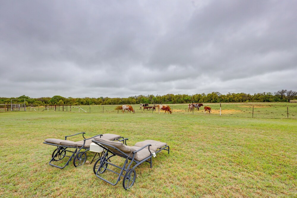Bunkhouse on Working Texas Ranch w/ Horses & Cows!