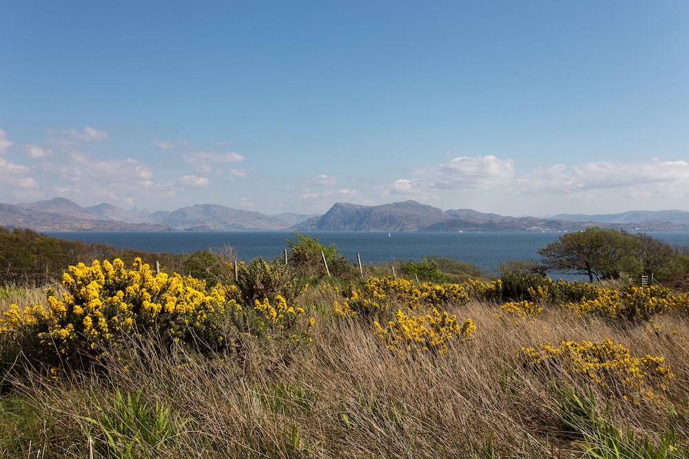 KnoydART Guest House