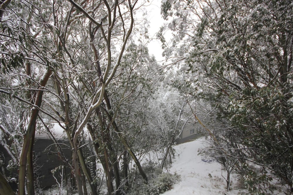 Falls Creek Hotel