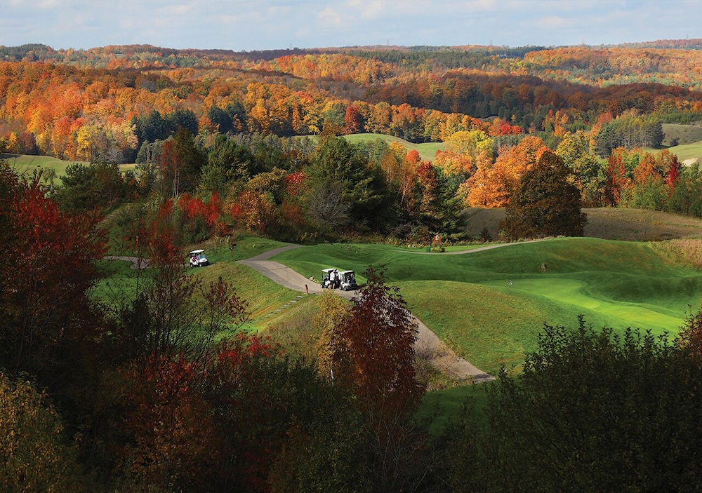 Hockley Valley Resort