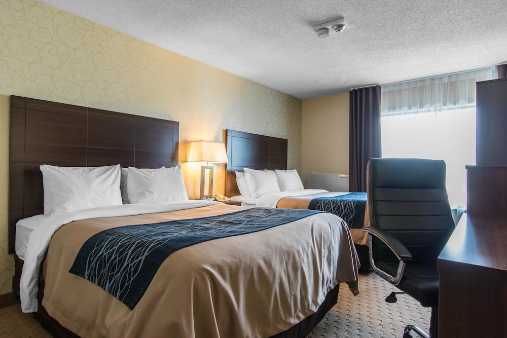 Trois-rivieres Vacations - Comfort Inn Trois-Rivieres - Property Image 7