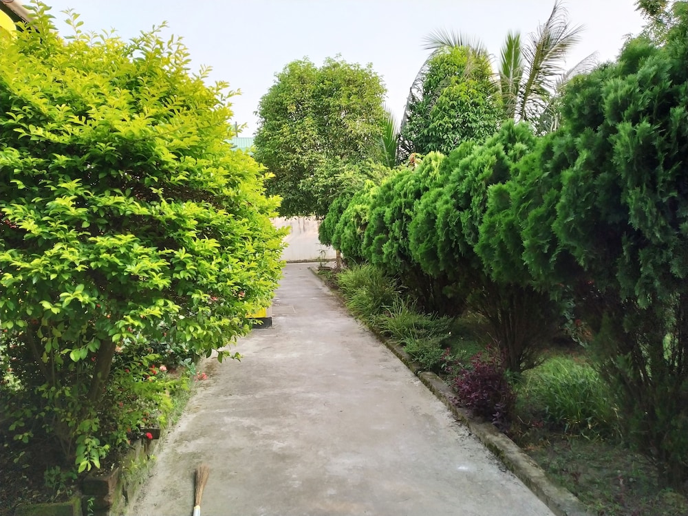 Photo 43