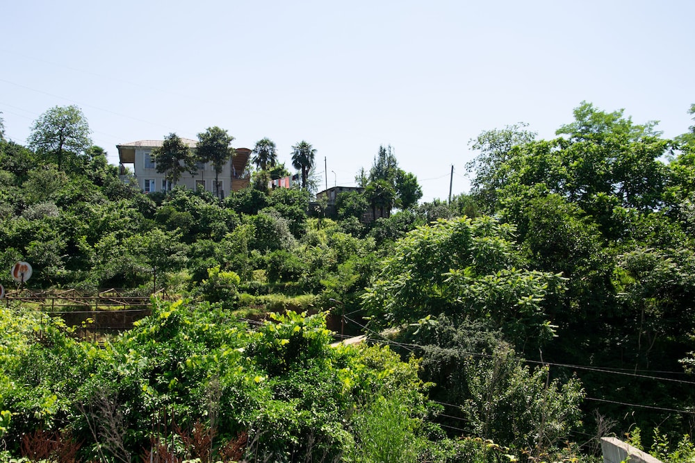 Photo 29