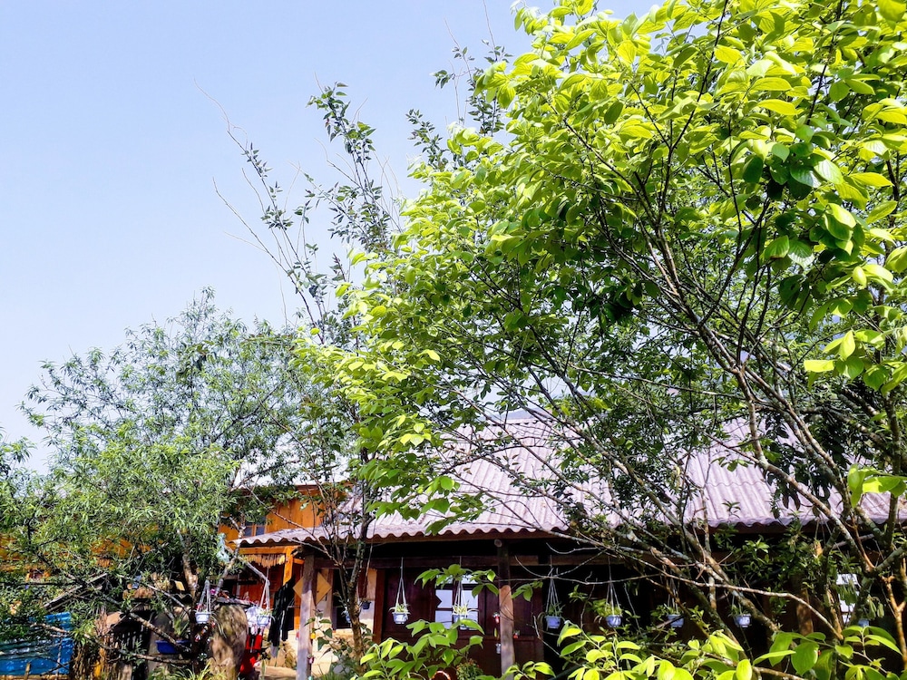 Photo 40