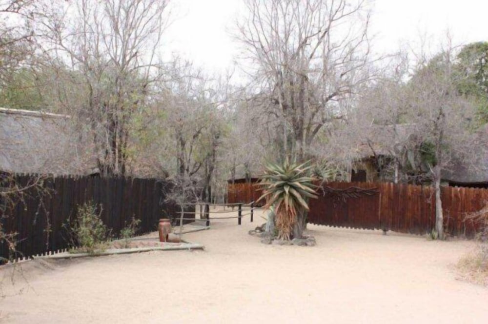 Offbeat Safaris