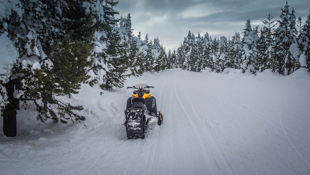 Black Bear Lodge