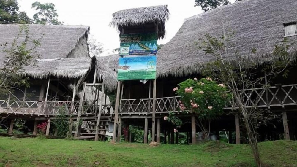 Jungle Wolf Expeditions