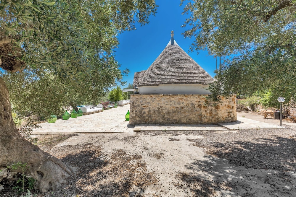 Photo 19