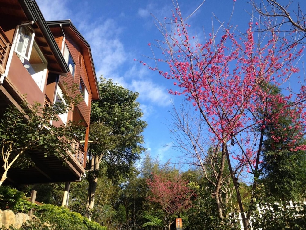 Walk Cloud B&B