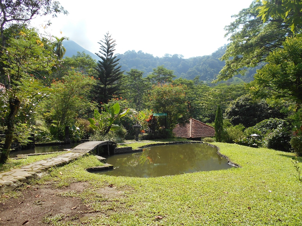 Photo 45