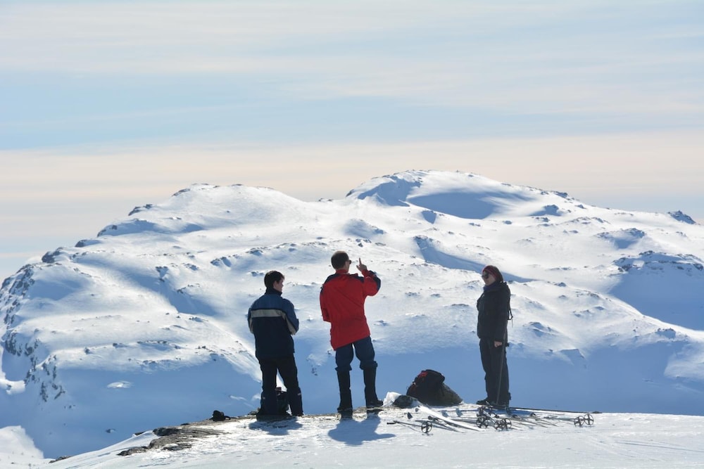 Voss fjellstove Rongastovo