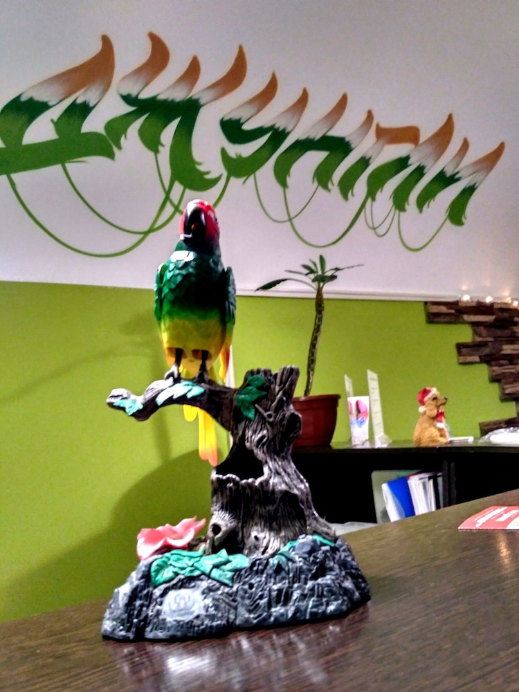 JUNGLE - Hostel