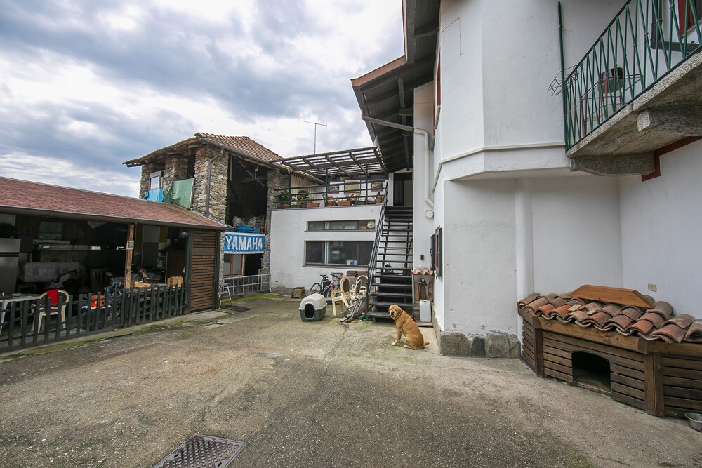 Photo 11