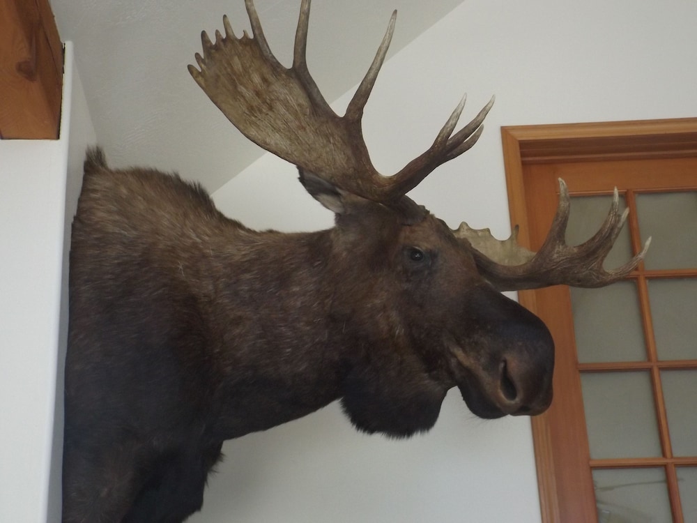 Clark Fork Lodge - Property Image 9