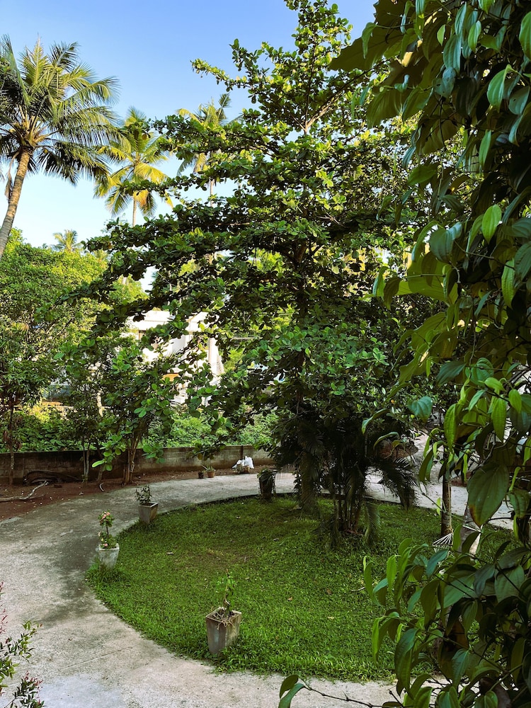 Molly's Hostel
