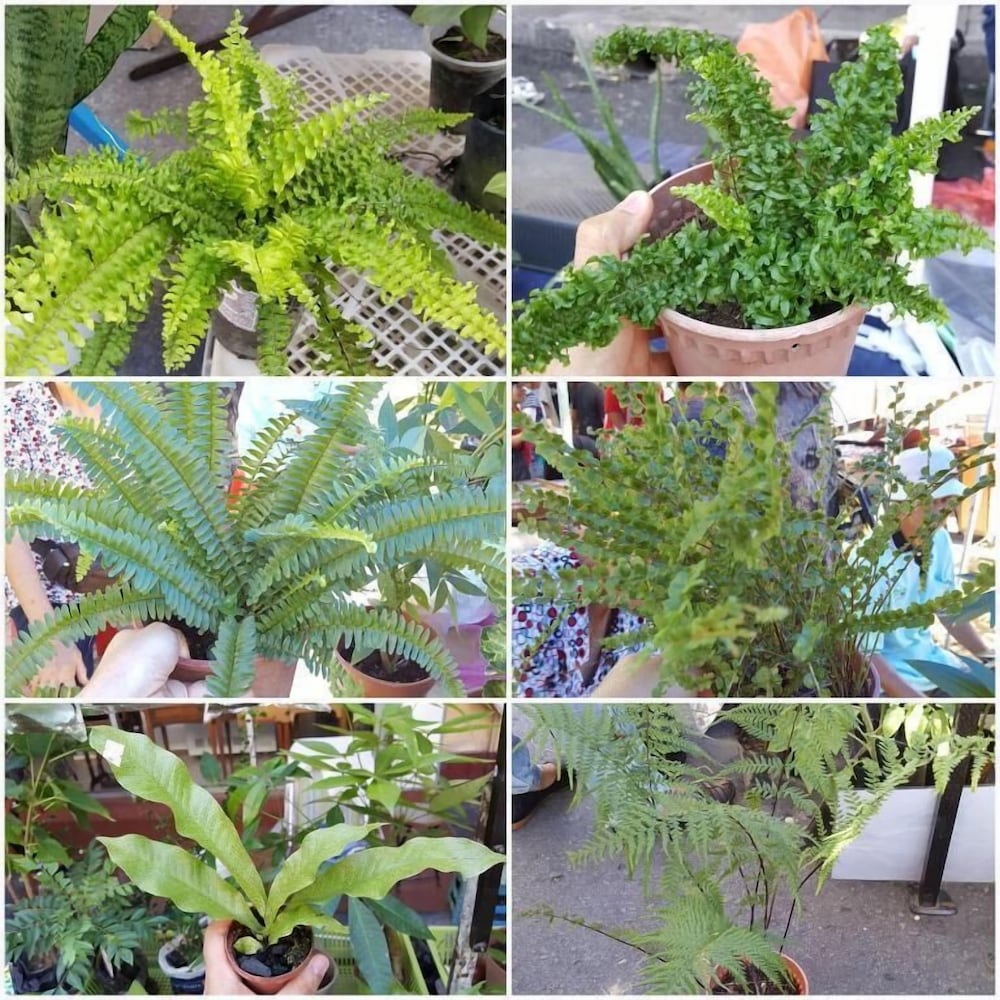other