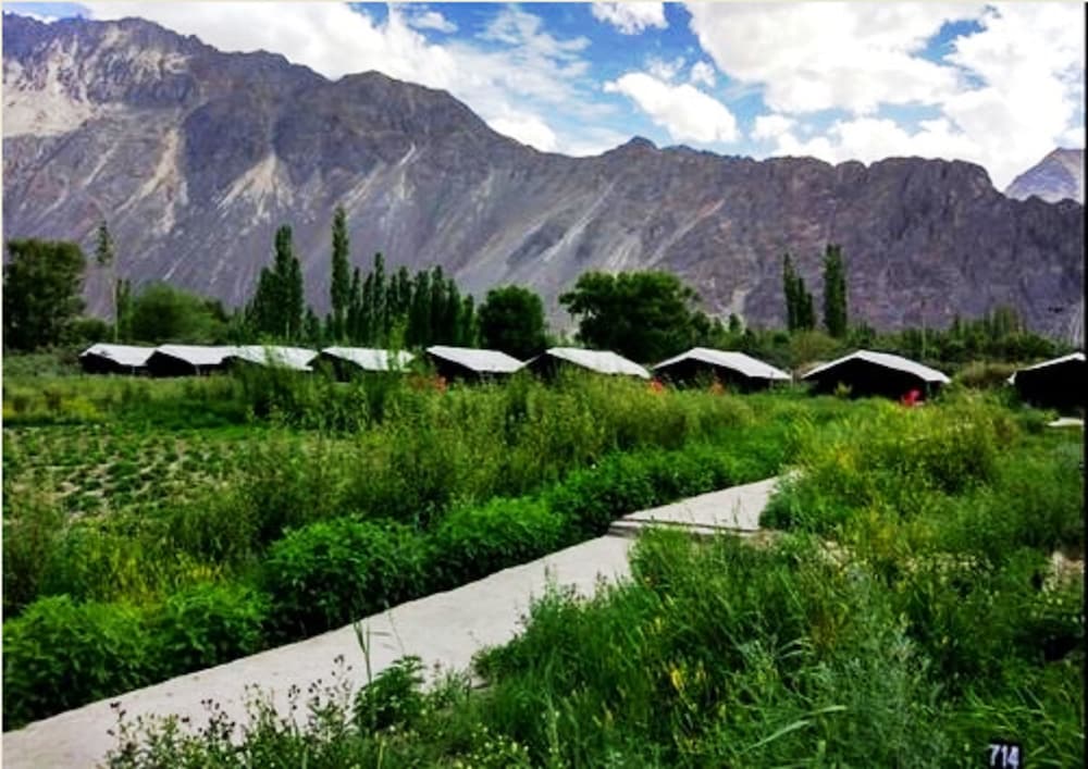 TIH Cold Desert Camp