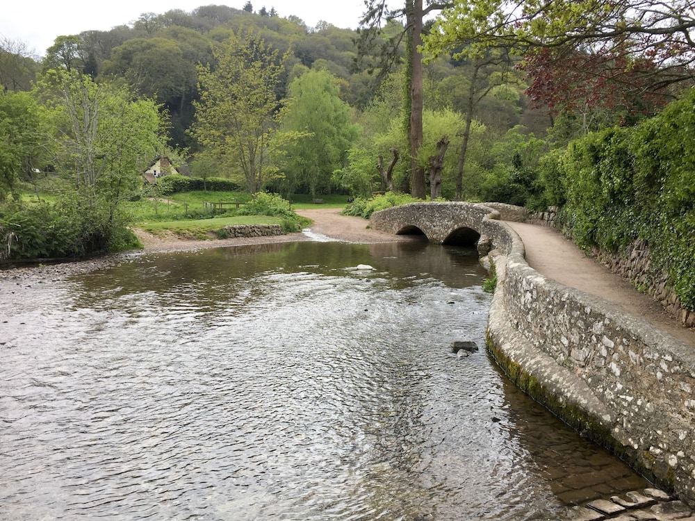 Photo 11