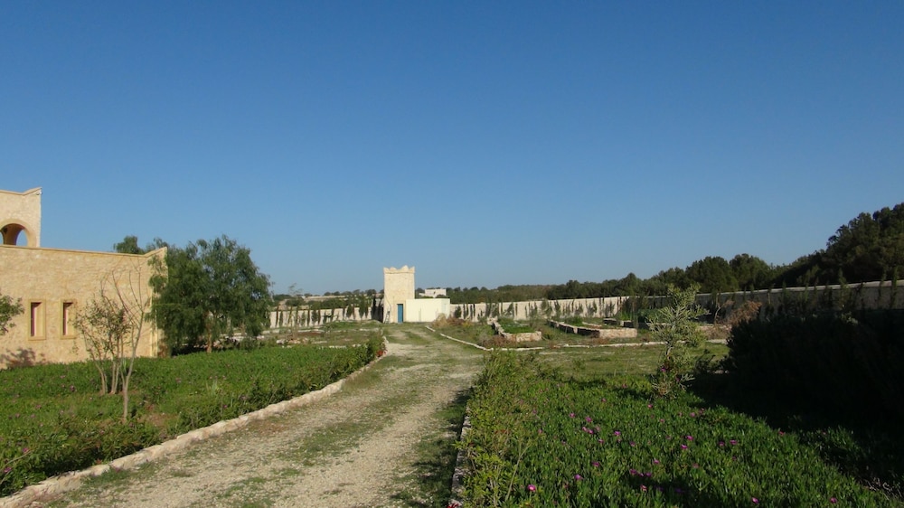 Photo 19