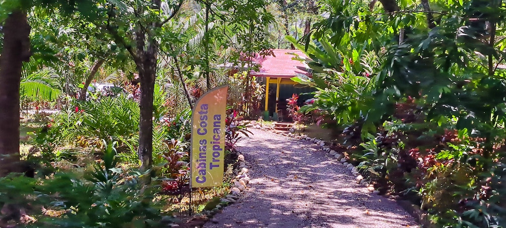 Cabinas Costa Tropicana