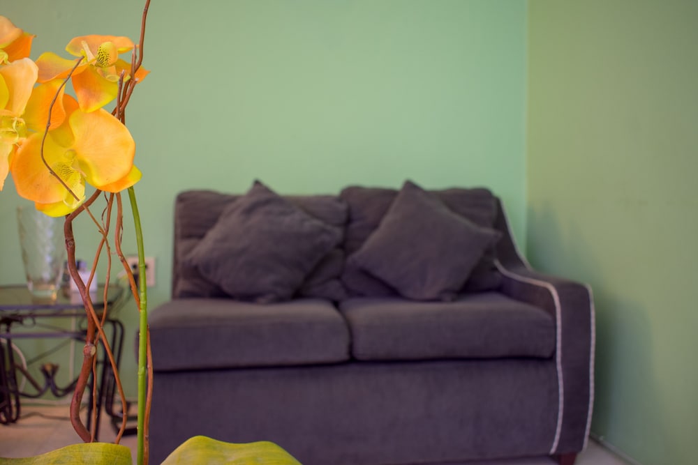 City View Guest Apartment