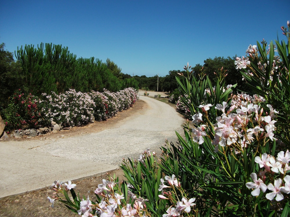 Rocce Bianche