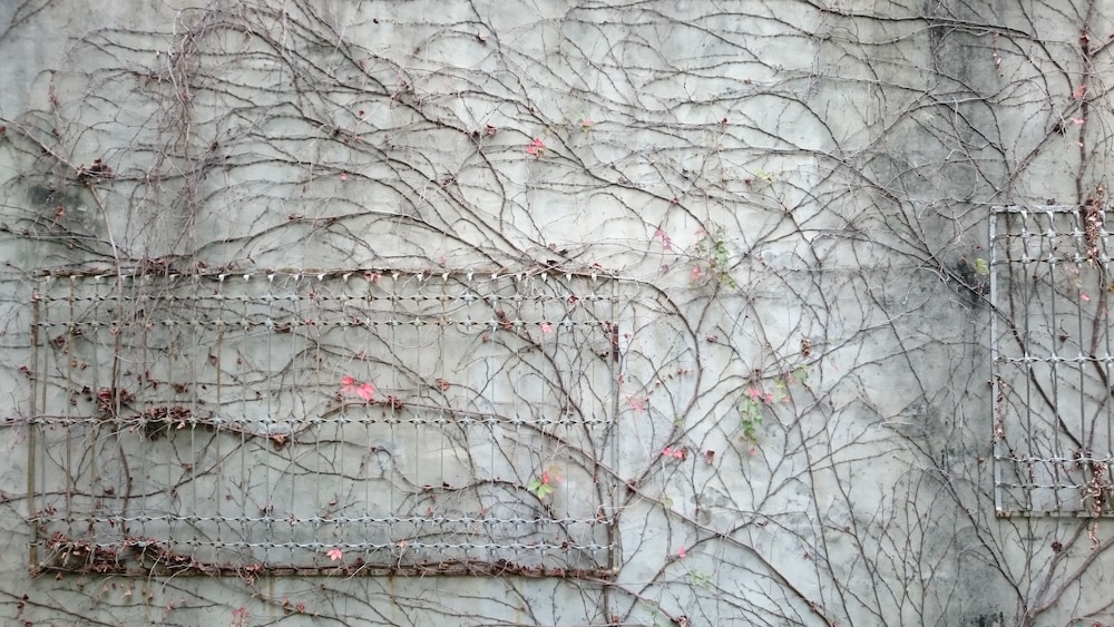 The Vintage Maison Tainan