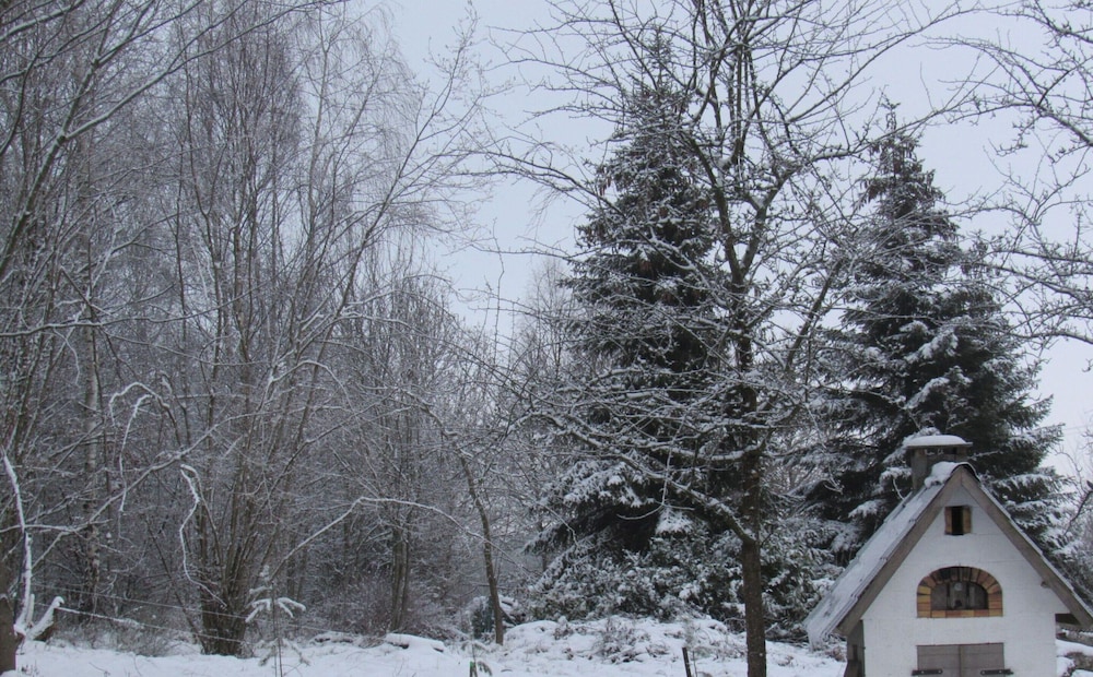 Photo 24