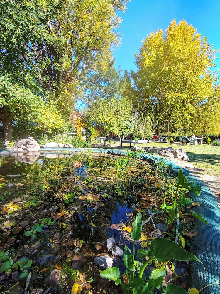 Finca La Saucina