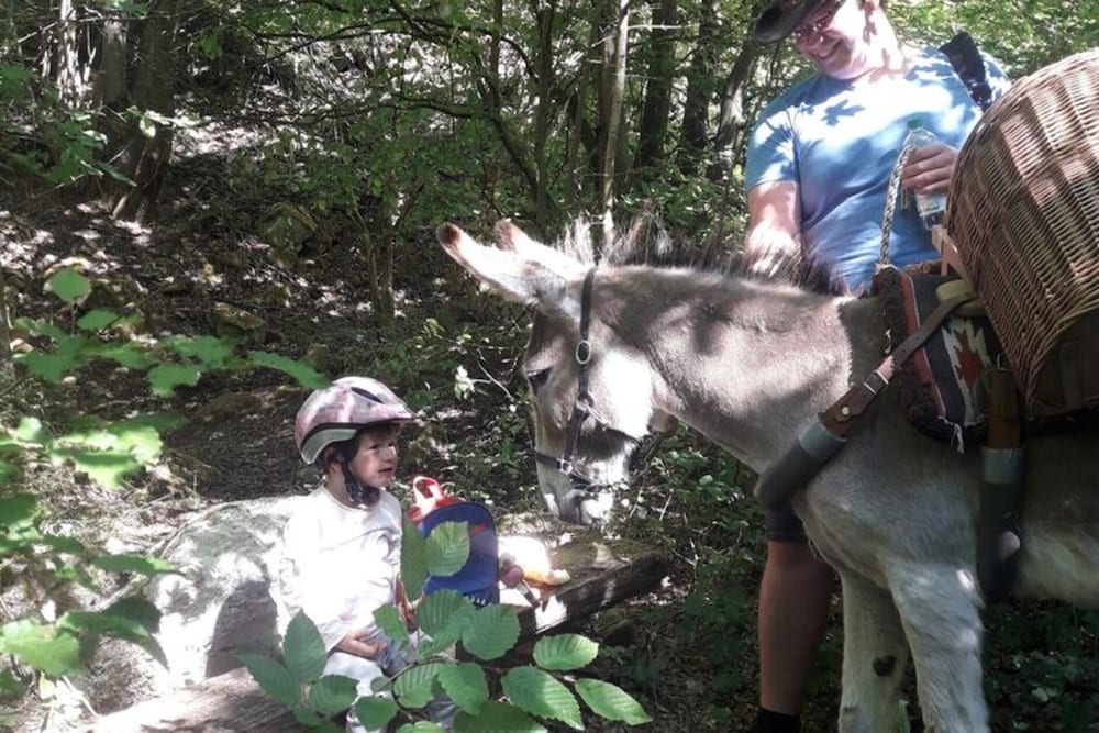 Familienfreundlicher Urlaub im Landhaus Obergude