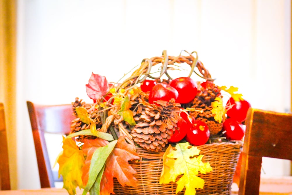 Washington DC Vacations - Eden Park Guest House - Property Image 3