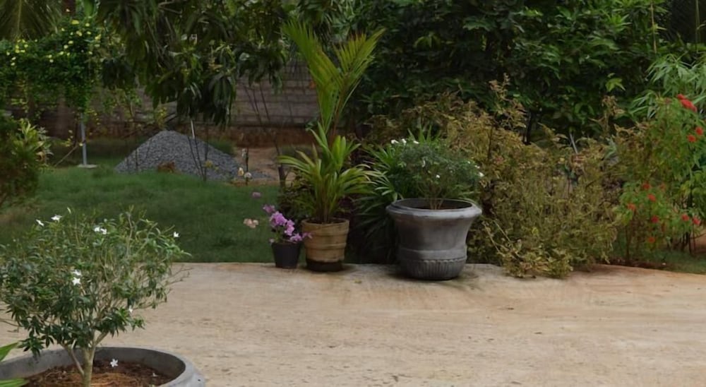 The Coconut Garden Hotel & Restaurant