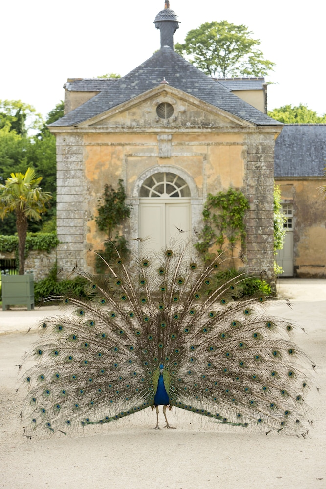 Château de Pont-Rilly