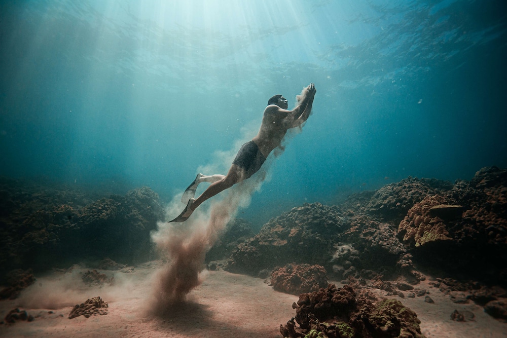 Fairmont Orchid - Property Image 134