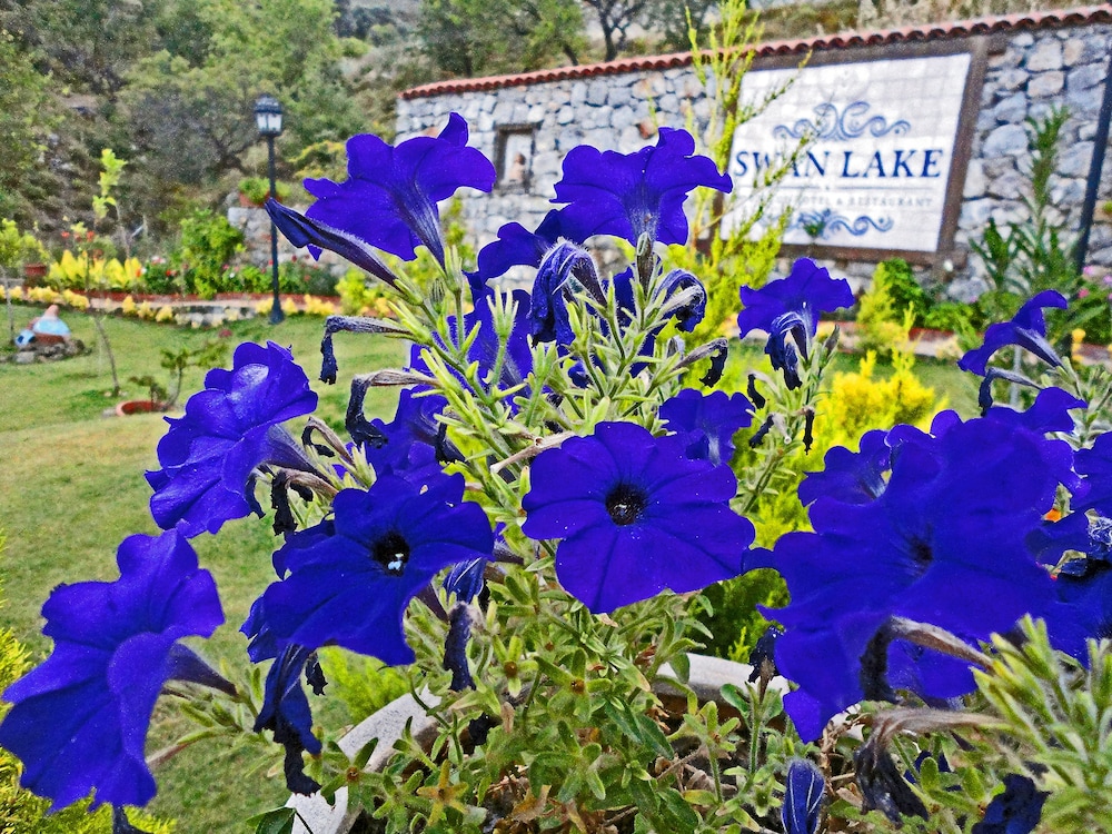 Swan Lake Butik Otel - Sadece Yetişkinler - Image 37