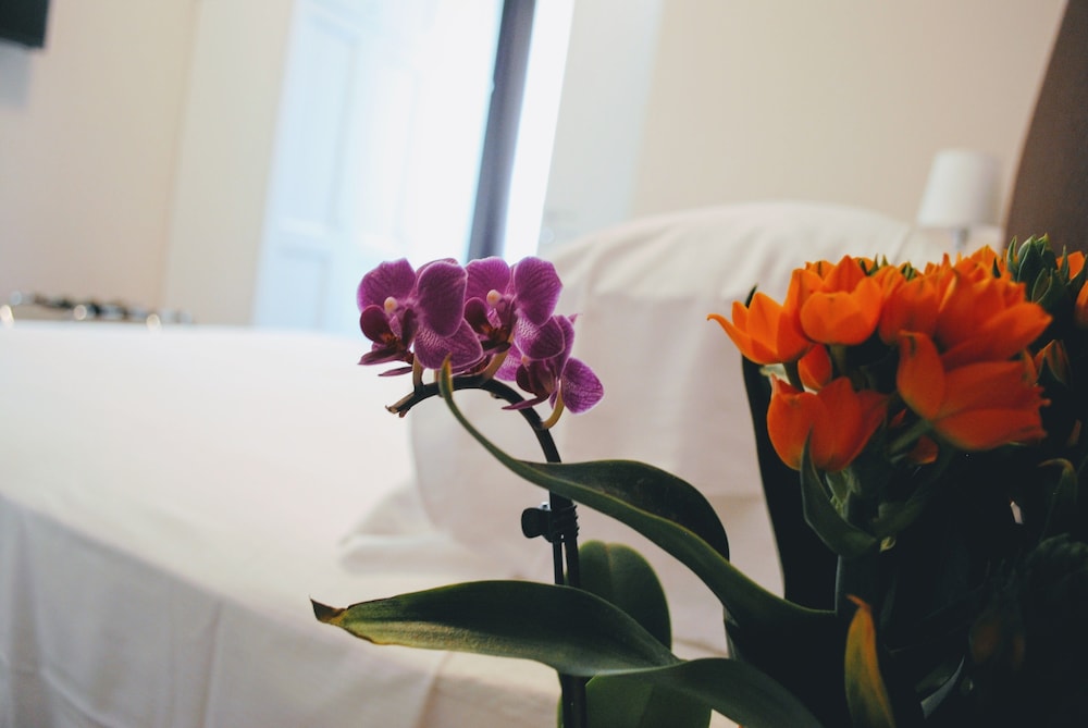 Guest House Cavour 278