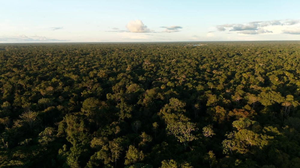 Amazon Jungle Expeditions Lodge