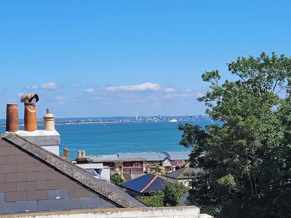 Nelson's View