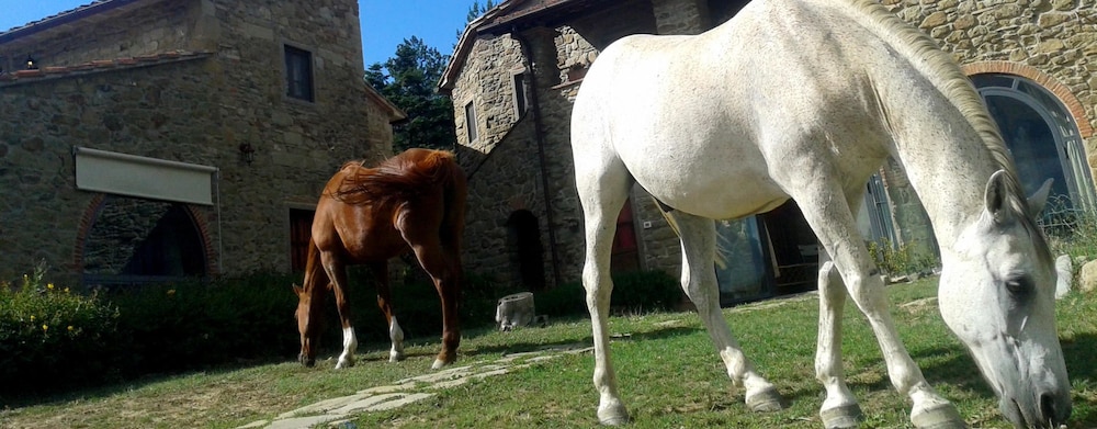 Dimora il Prato