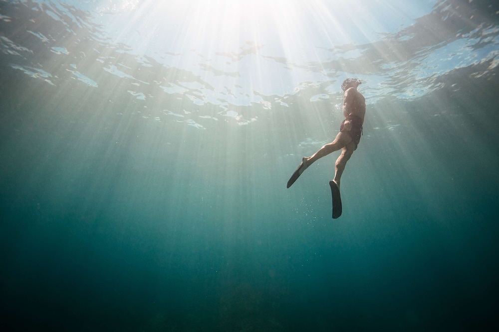 Fairmont Orchid - Property Image 183