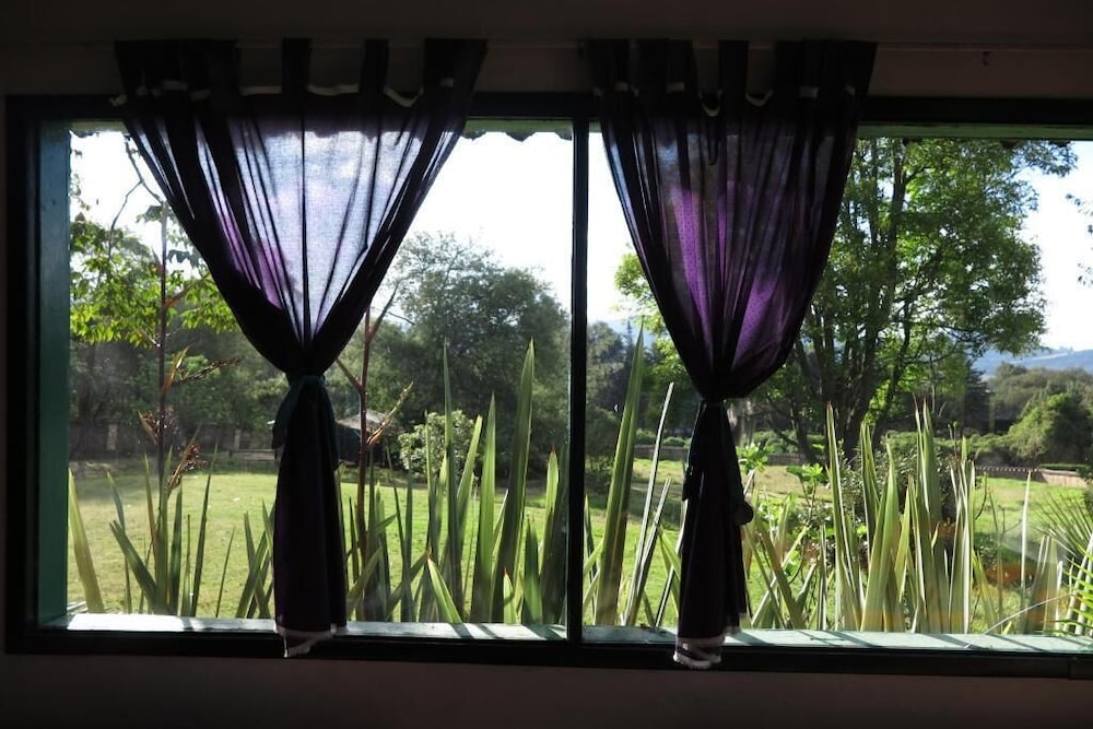 La Juanita Finca Verde