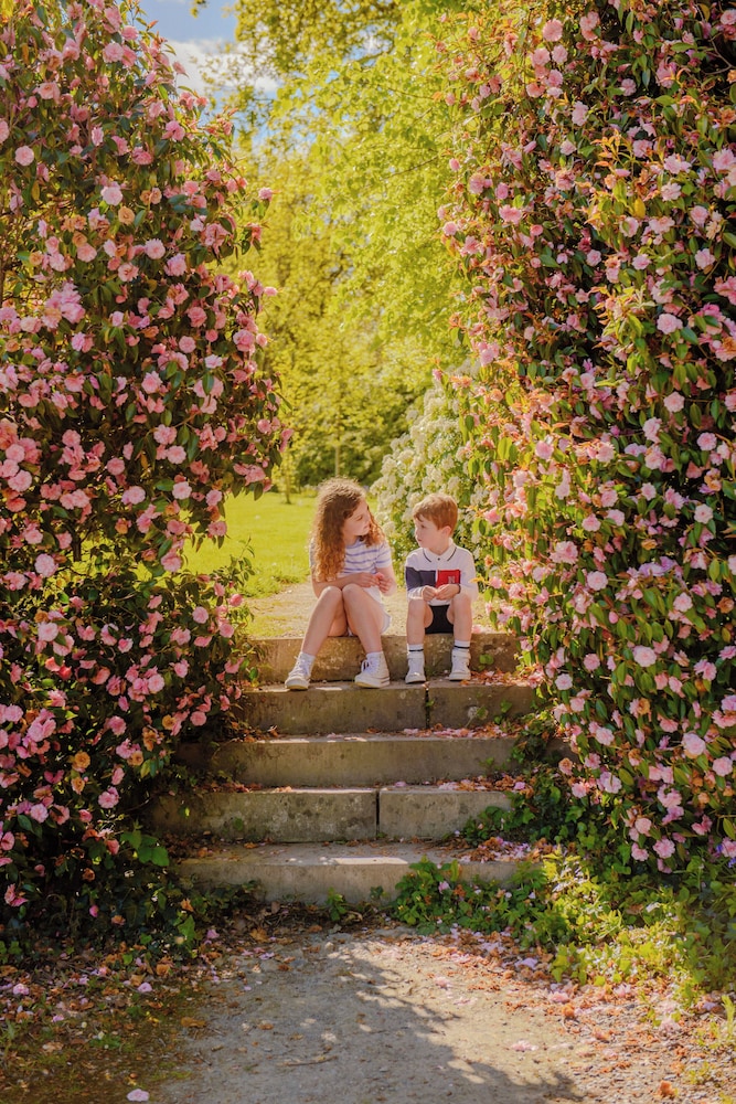 The Forest at Mount Congreve Gardens