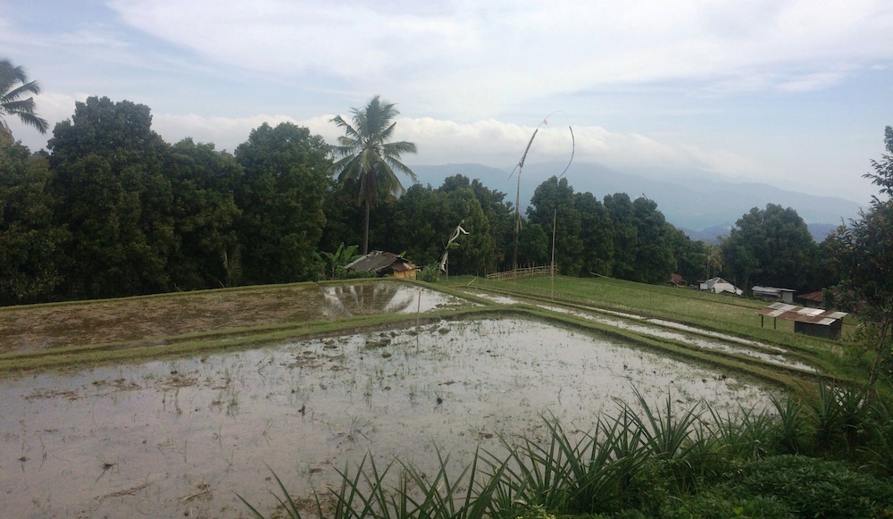Puri Sangkih