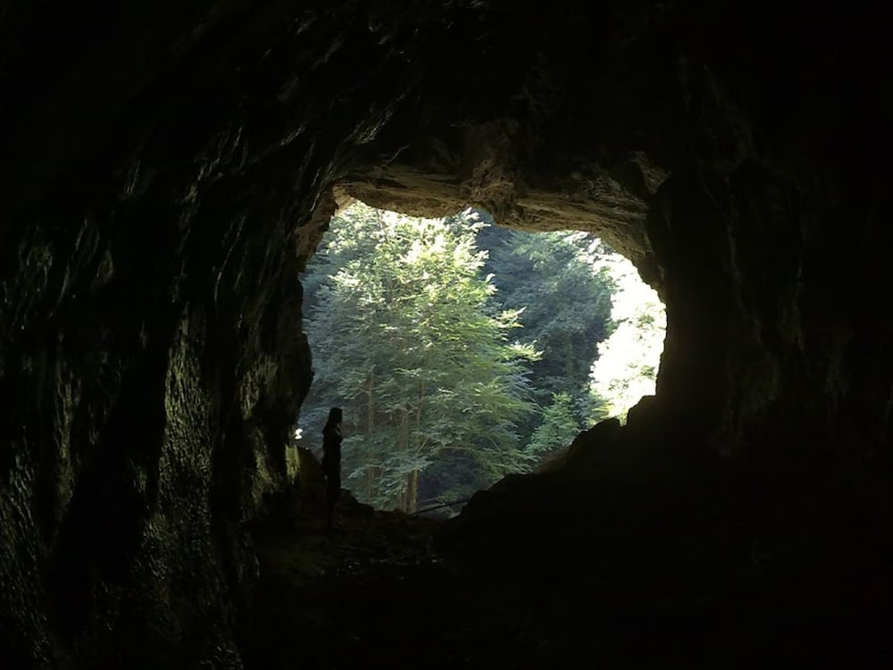 Photo 14