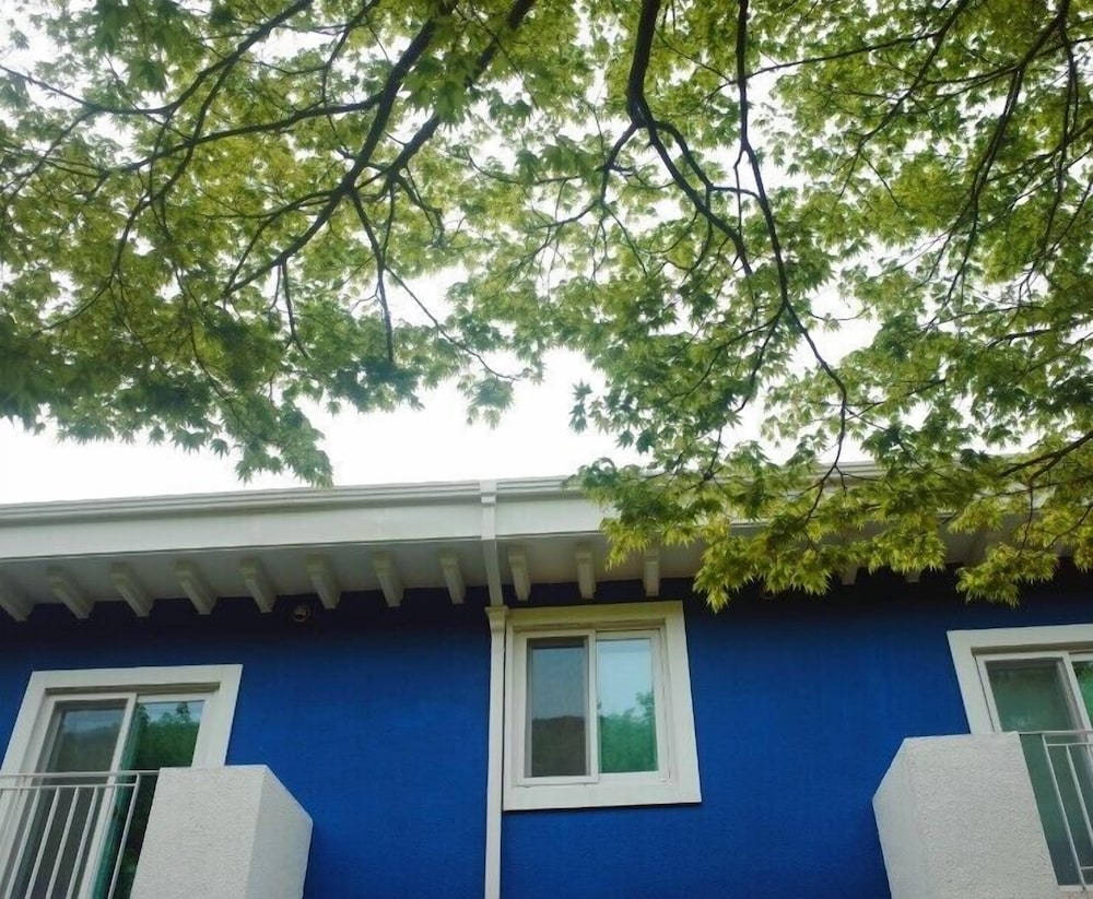 MUJU in GuestHouse - Hostel