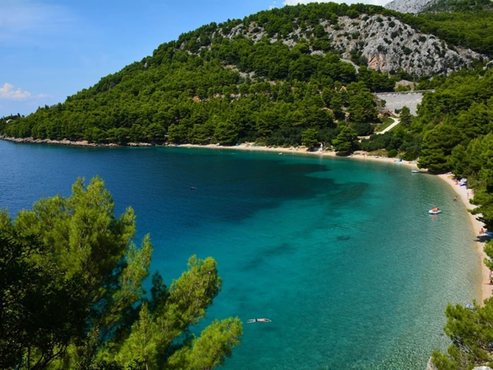 Photo 37